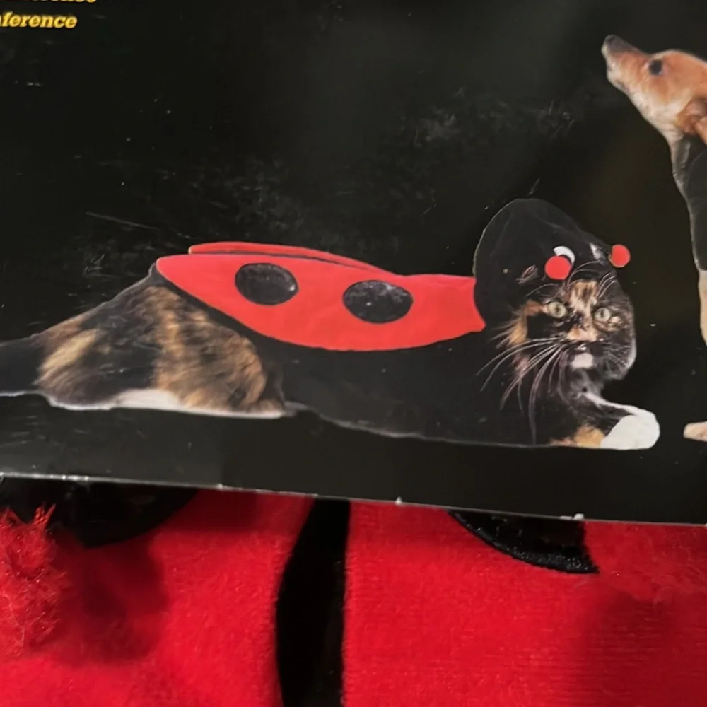 NWT Cat or dog sequin ladybug costume